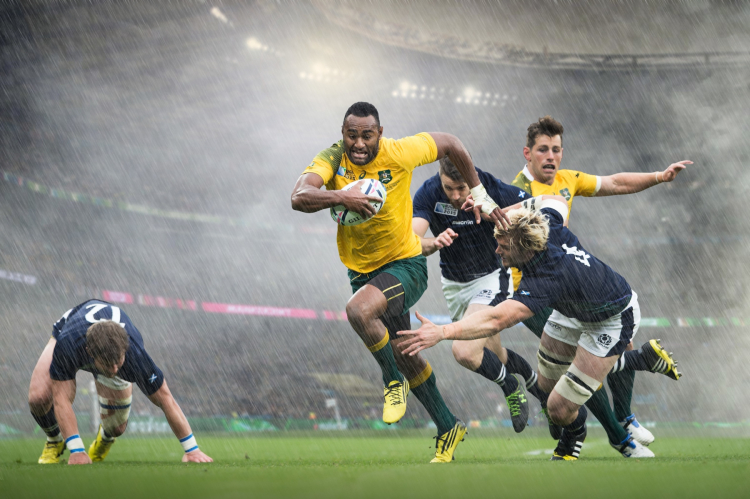 Sports photographers