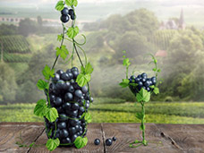 PHOTO POST PRODUCTION & CGI