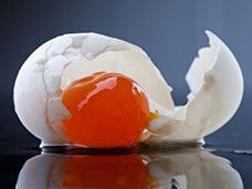 FOOD & DRINK PHOTOGRAPHY & MOTION