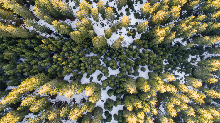 Landscape and Aerial Photographers