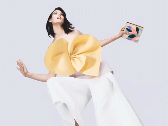 CINEMAGRAPHS & ANIMATED GIFs