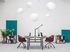 STILL LIFE PHOTOGRAPHY + MOTION