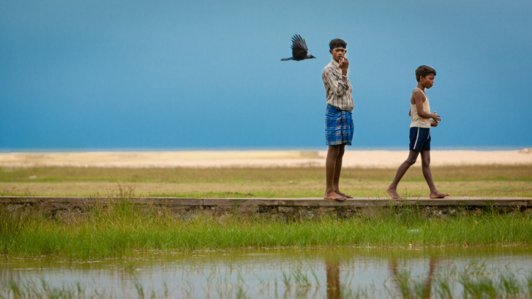 Travel photographers
