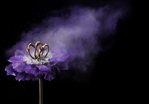 Photo & Film Post production and CGI