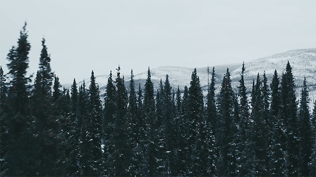 Wyatt Clarke+Jones