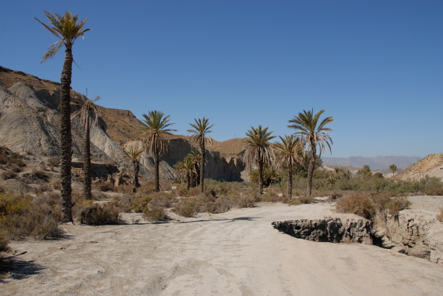 Almeria Location Scout