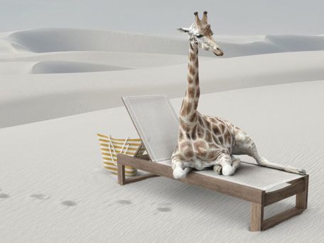 Photo Post Production and CGI Spotlight Cover by Dona Gorska