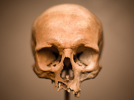 STILL LIFE PHOTOGRAPHY