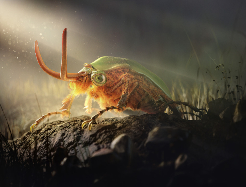 ILLUSTRATION & ANIMATION