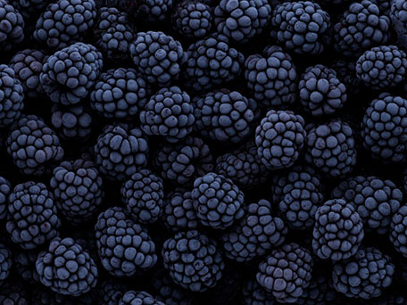 FOOD & DRINK PHOTOGRAPHY & MOTION