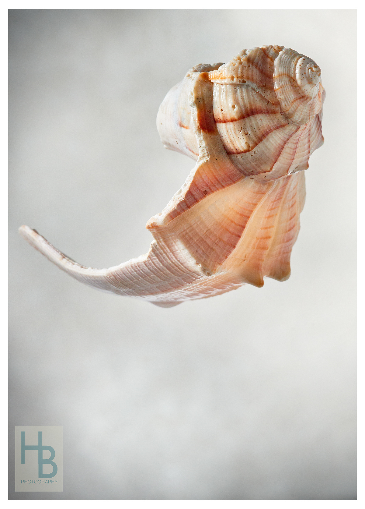 Advertising photographers