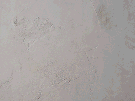 CINEMAGRAPHS, GIFS AND STOP MOTION