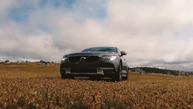 Mike Cutler