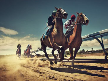 PHOTO & COMMERCIAL PRODUCTION