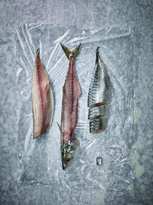 guido gravelius foodstyling