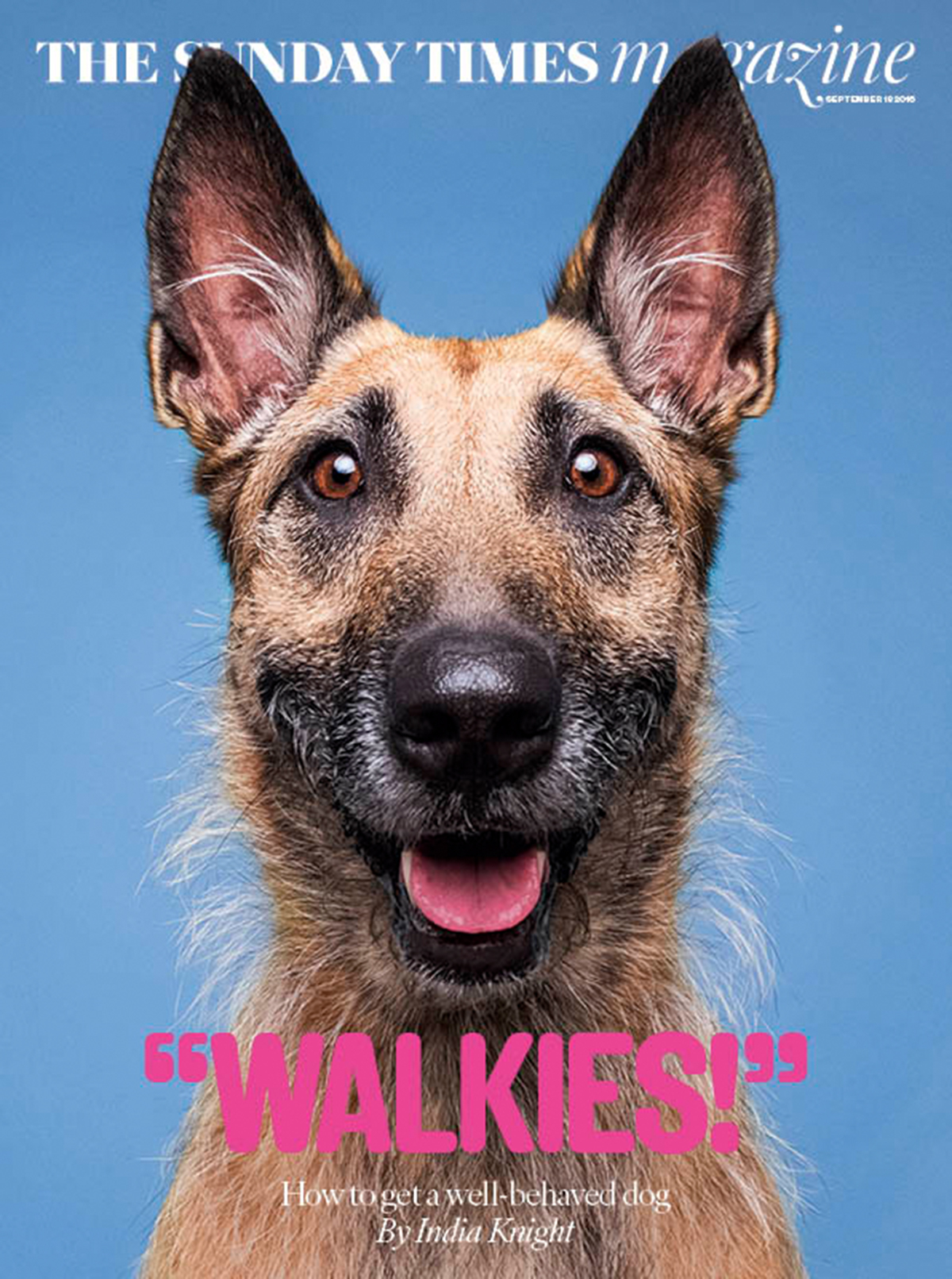 Animal photographers