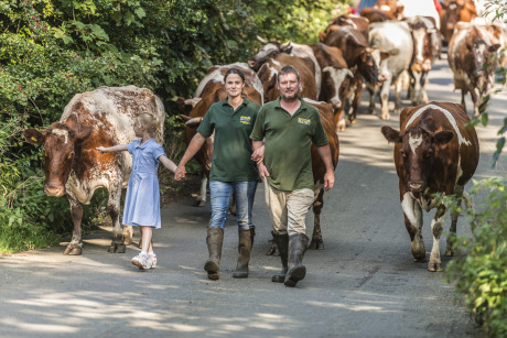  Emma Robinson & Ian O'Reilly leading the cows home with their daughter at Gazegill Organic Farm, Rimington Lancs gallery