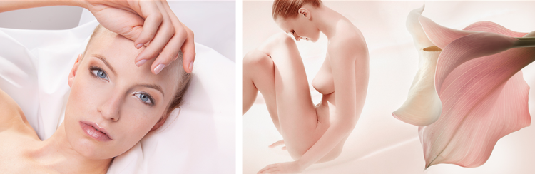 Still Life, Beauty and Art Photographers