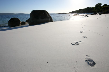 Australia: Globotour Travel Reise-Service