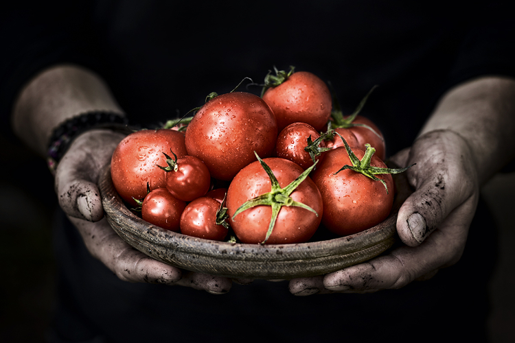 Food & Drink Photographers