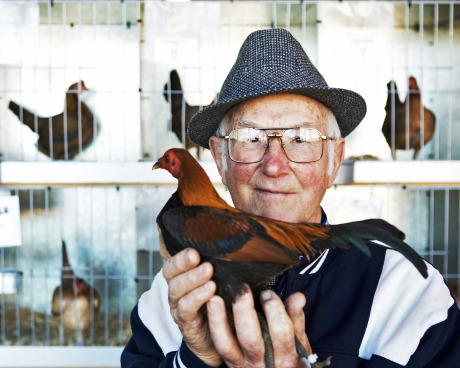  For the last 55 years, Don has been the poultry judge for the Royal Melbourne Show. gallery