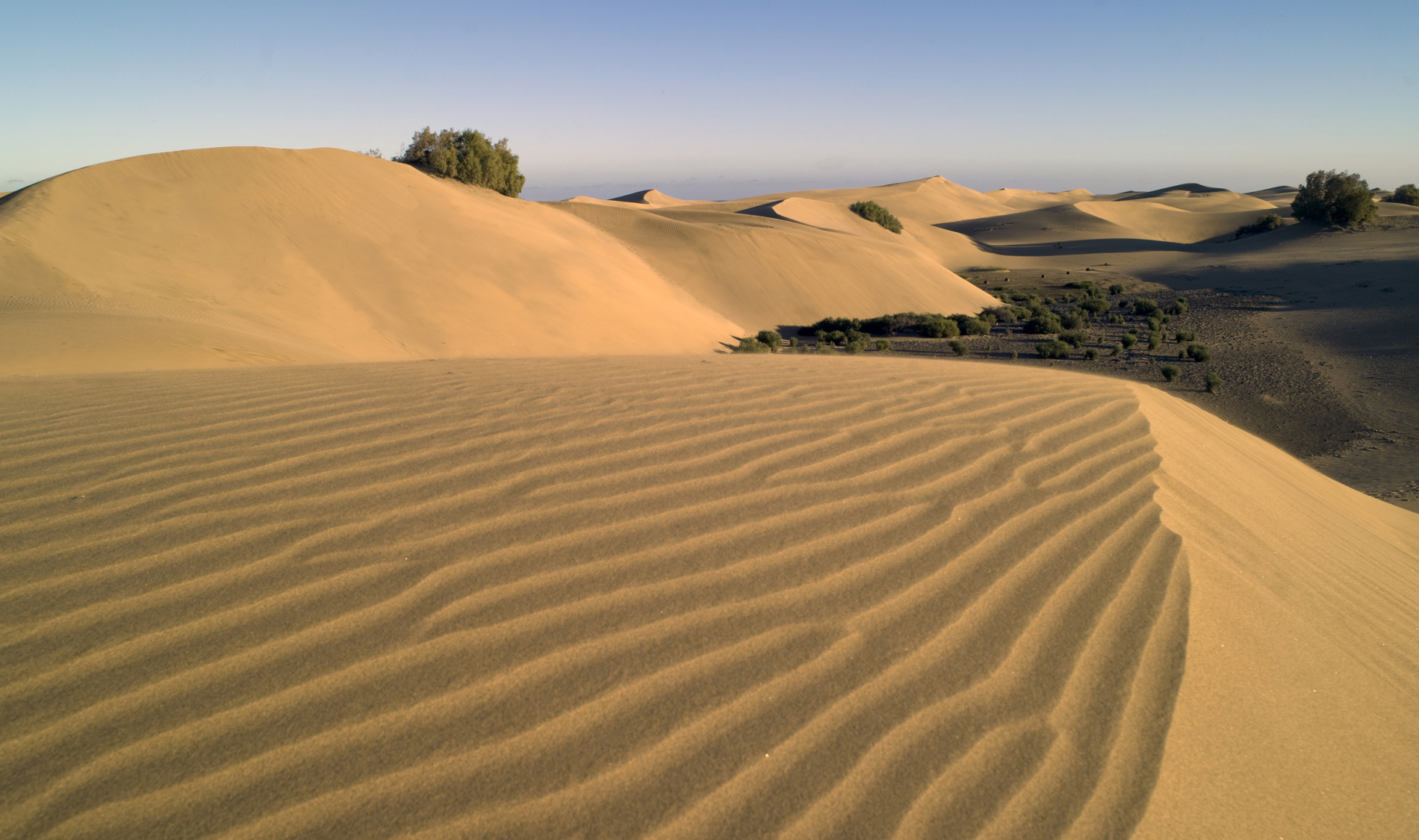 Gran Canaria Film Commission