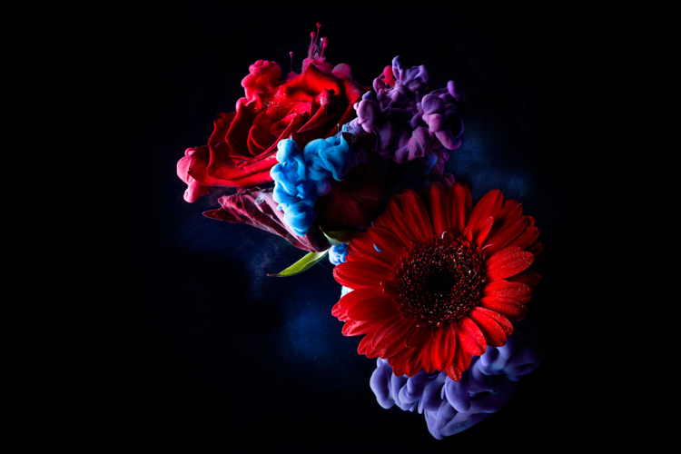 Food & Drink and Watches & Jewellery Photographers