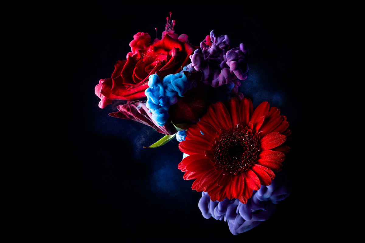 Dennis Savini Photography