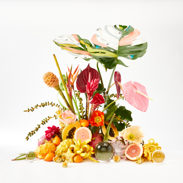 Stills, Table Top and Soft Goods Stylist