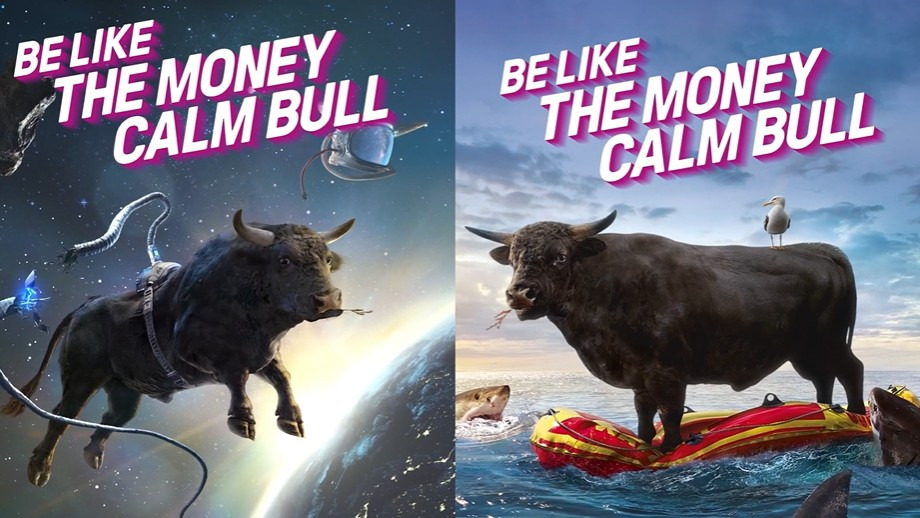  Money Super Market - The Money Calm Bull gallery