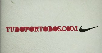 The Mushroom Company