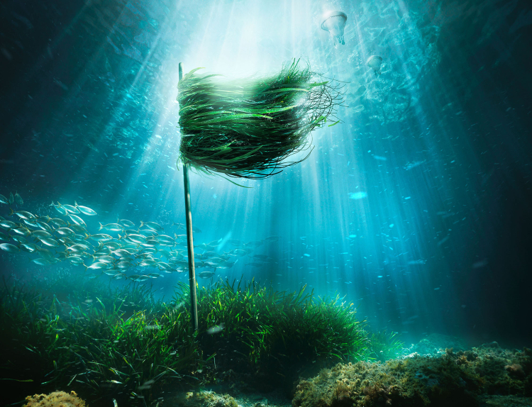 CGI & Post-Production
