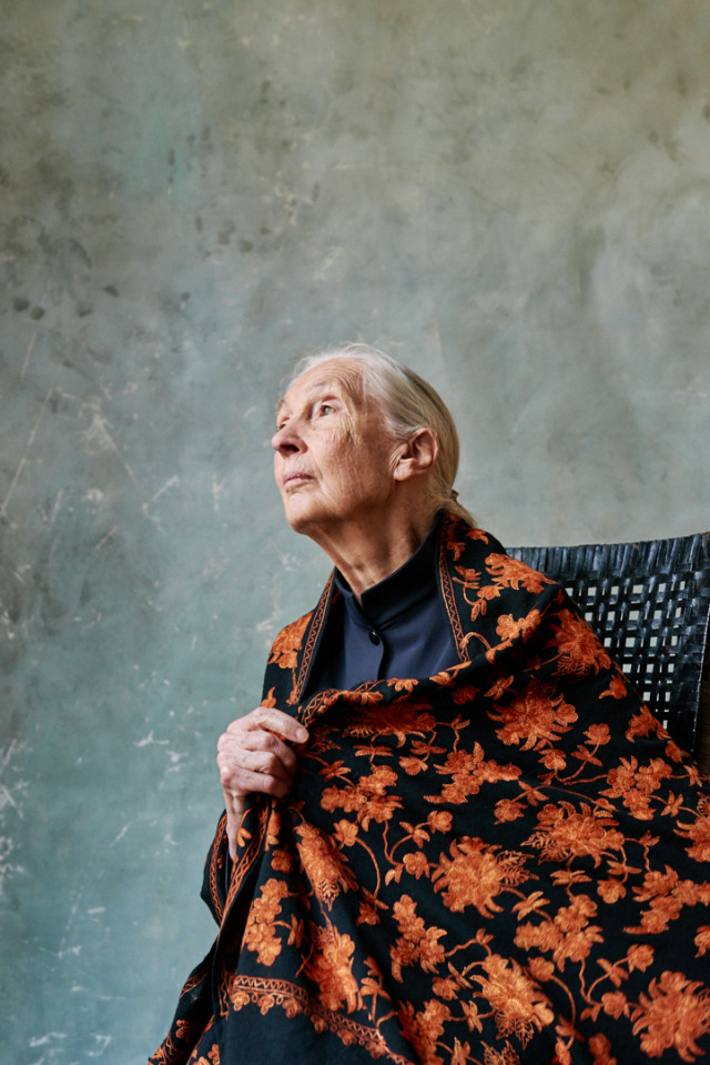 Talent: Jane Goodall gallery