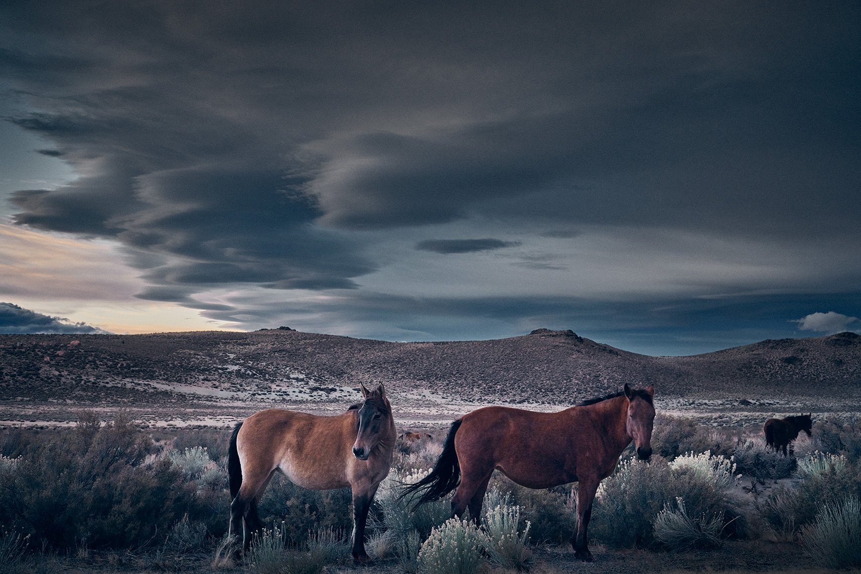 Brian Konoske Photography