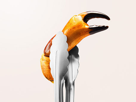 FOOD & DRINK PHOTOGRAPHY & MOTION