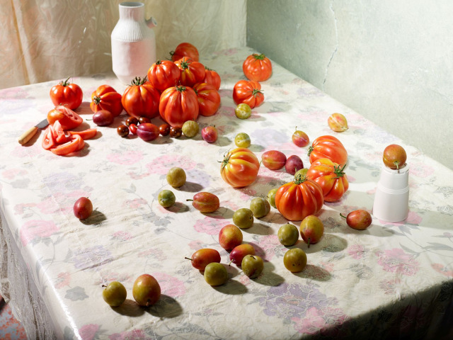  Tomatoes from BROCANTE (series) with Art Director / Prop Stylist Olivia Bennett  gallery