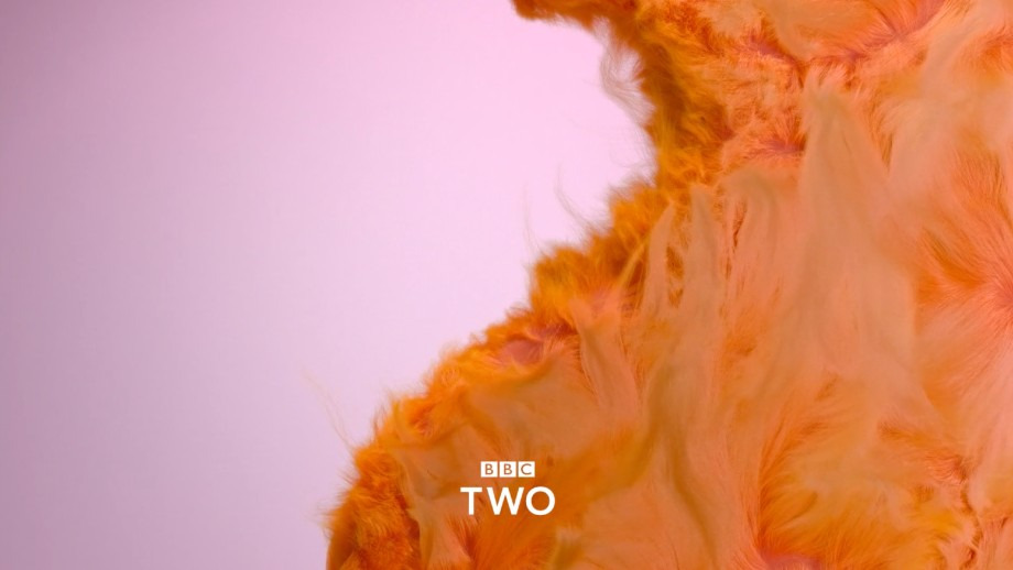  BBC Two gallery