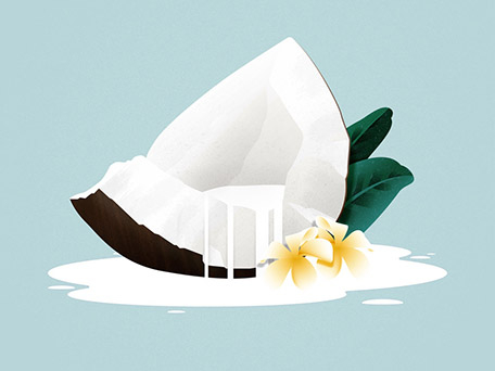 ILLUSTRATION & ANIMATION