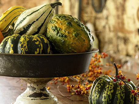 STILL LIFE PHOTOGRAPHY