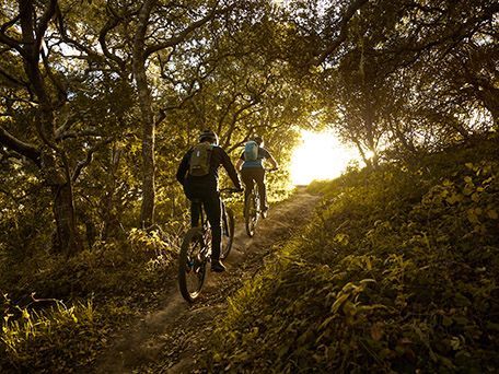 GLOBAL ADVERTISING PHOTOGRAPHY & MOTION