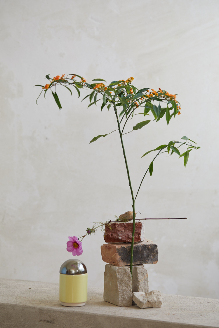 Stylists/ props, furnishing, interior