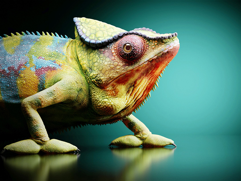 PHOTO POST PRODUCTION & CGI