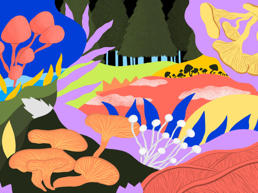 ILLUSTRATION & ANIMATION