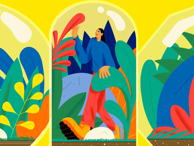 ILLUSTRATION & ANIMATION