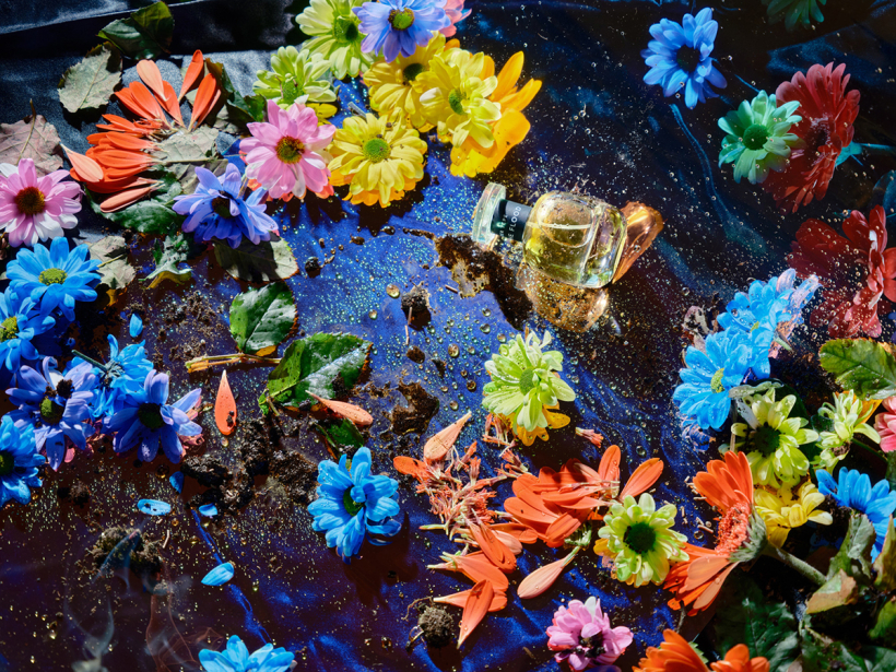 STILL LIFE PHOTOGRAPHY