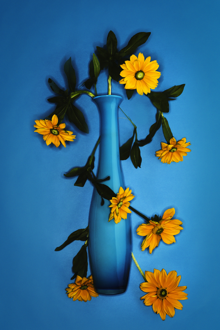 Still life photographers