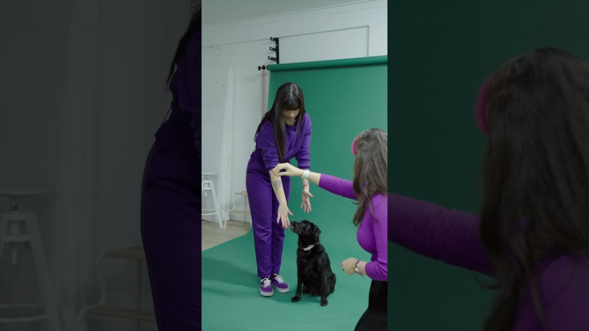 Le Terrier Studio