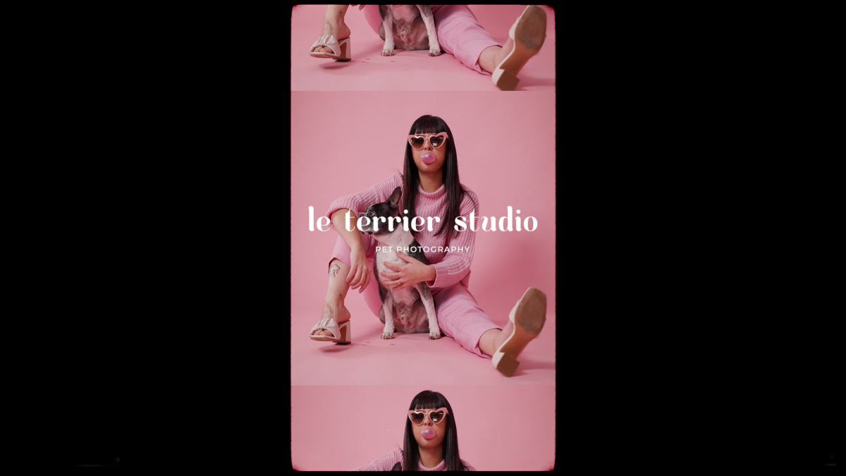 Le Terrier Studio