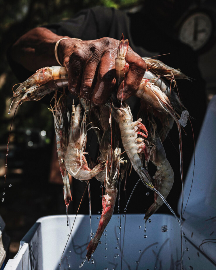Food, Lifestyle & Travel Photographers