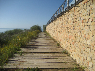 Algarve: Old Dogs Productions